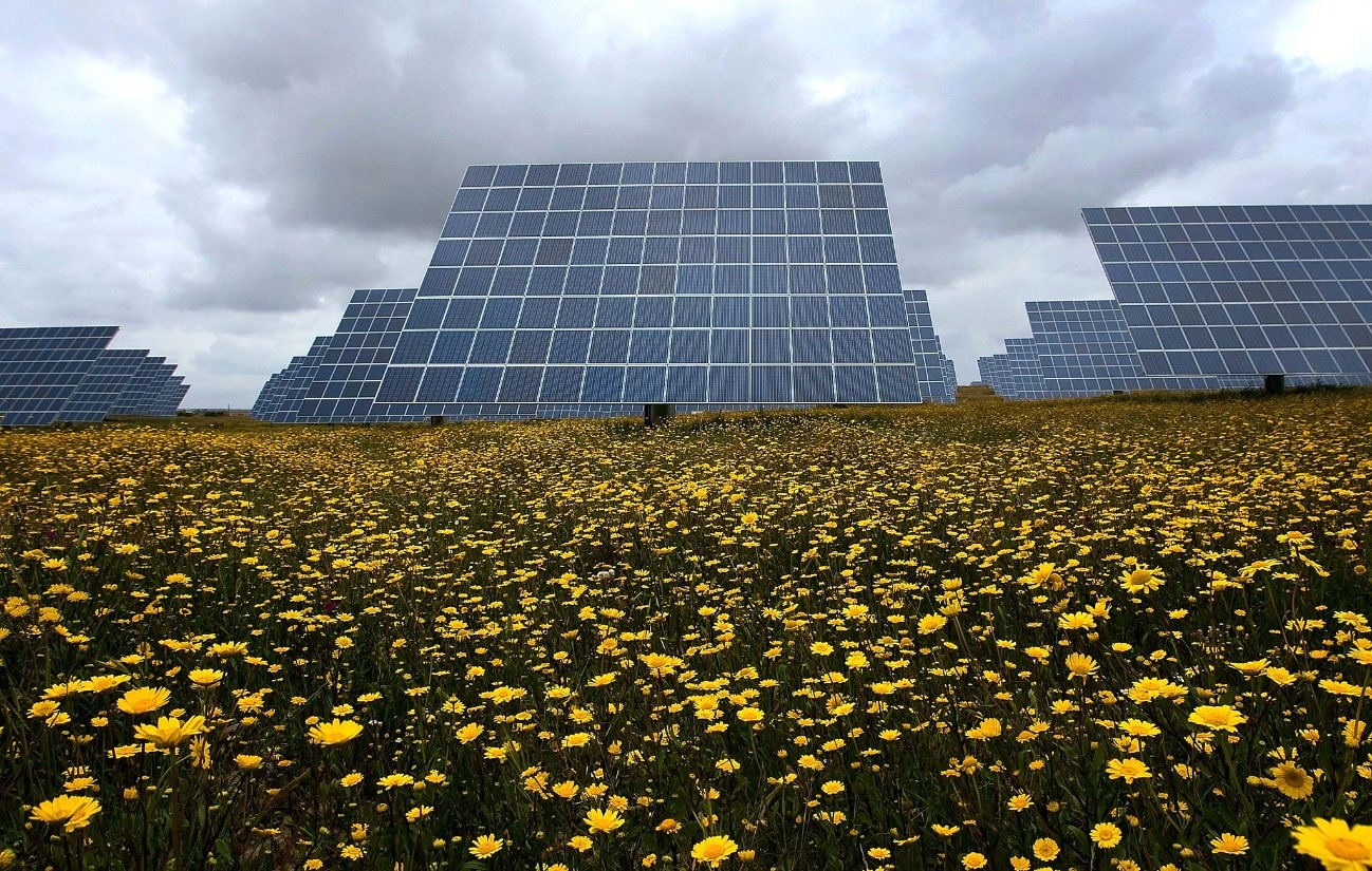 En Portugal proliferan los proyectos de parques solares