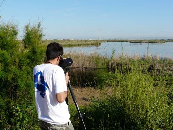 SEO Birdlife será la encargada del seguimiento fenológico de las aves en Parques Nacionales