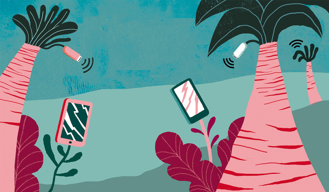 Día Internacional de la Fascinación por las Plantas