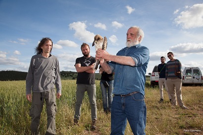 Campaña SOS Fauna: Apadrínalos