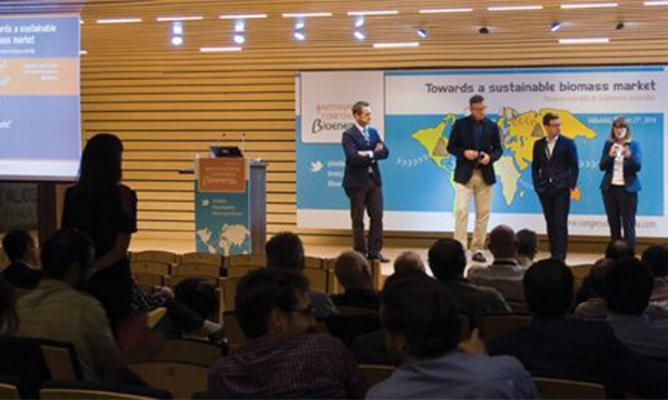 Cómo adaptarse a la nueva regulación del mercado de la biomasa hasta 2020