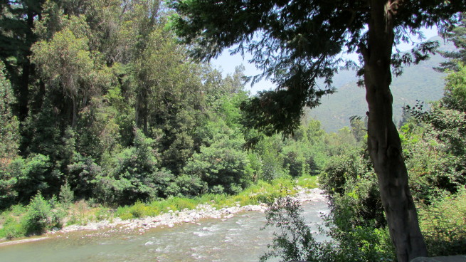 Concluye el proyecto para promover la conservación de la biodiversidad del Cajón del Río Teno en Los Queñes