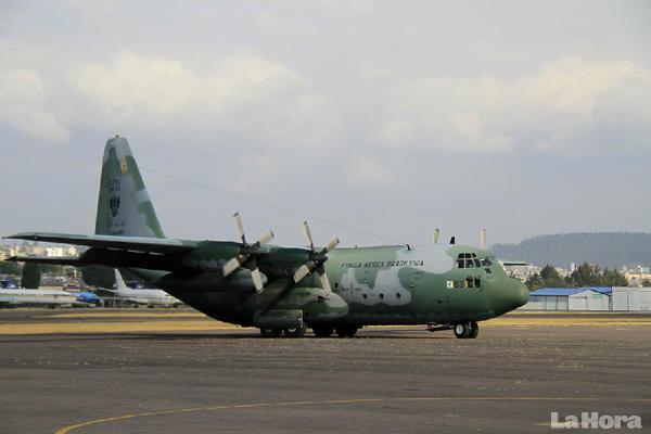 Ahora toca reforestar los bosques de Quito