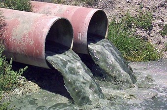 Prometen limpiar Bailín para eliminar el pesticida