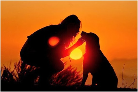 Perros madrileños viajarán en Metro