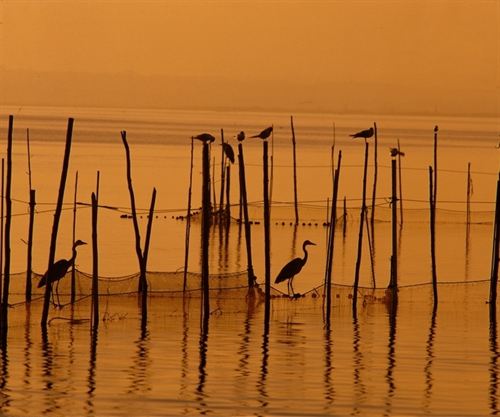 El Consejo valenciano destina cerca de 980.000 euros al Parque Natural de LAlbufera