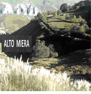 El ‘incontrolado y alarmante’ avance del plumero en Cantabria