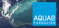 La Fundación Aquae presenta en la ONU su propuesta para impulsar el Decenio del Agua