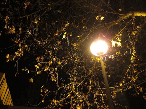 La reforma de los impuestos energéticos y ambientales recaudará 5.500 millones