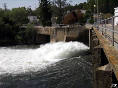 Andalucía. Técnicos de la Junta no encuentran ni vertidos ni restos de que se haya producido en el Guadalete
