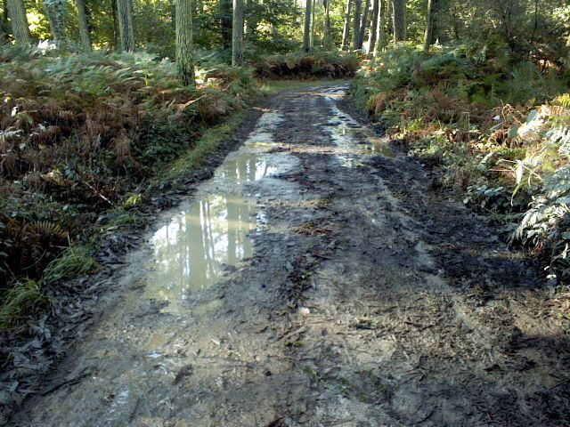 Asturias. De vergüenza Minas no sancionas las irregularidades de Salave