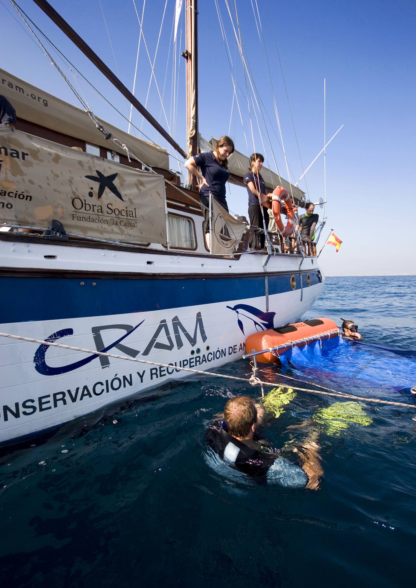 La Fundación CRAM libera a la tortuga verde y sigue su rumbo con un transmisor vía satélite adherido a su caparazón