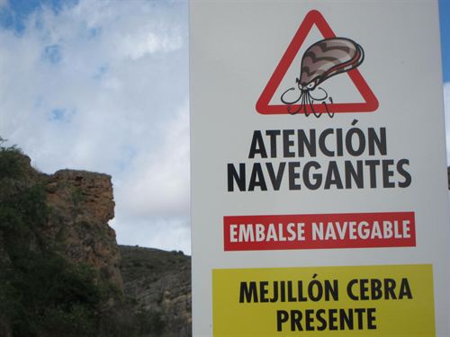 La UE desembolsa unos 9.600 millones de euros en la lucha contra especies invasoras