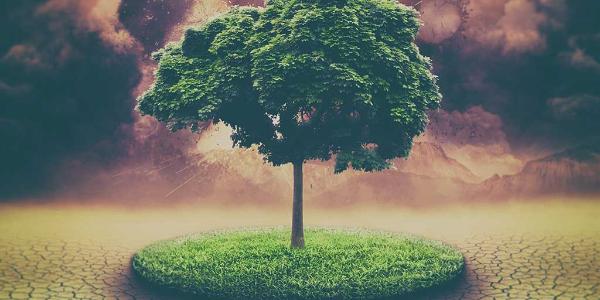 Las grandes economías mundiales presentarán sus contribuciones de reducción de emisiones para el ‘Acuerdo de París 2015’