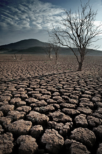 Expertos de 130 países discutirán sobre agua y cambio climático