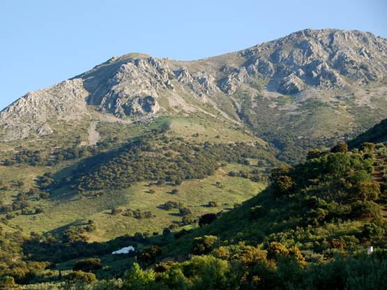 Polémica en la aprobación de una comisión en la Subbética