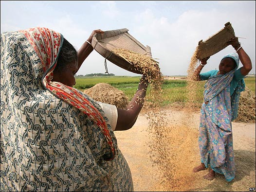 Soberanía alimentaria