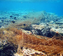 STOP pesca destructiva