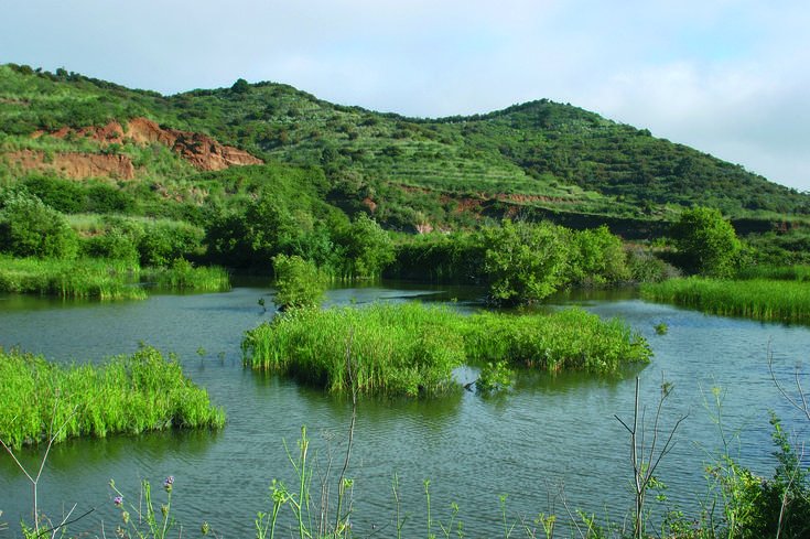 La Junta celebrará el Día Mundial de los Humedales en las Barrancas de Castrejón (Toledo)
