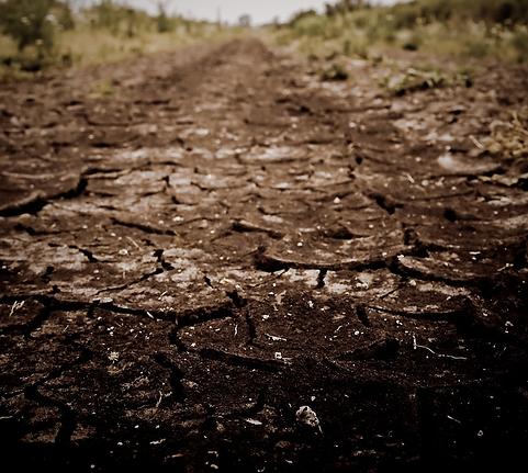 Sucesión sin precedentes de sequías en el Amazonas alarma a los científicos