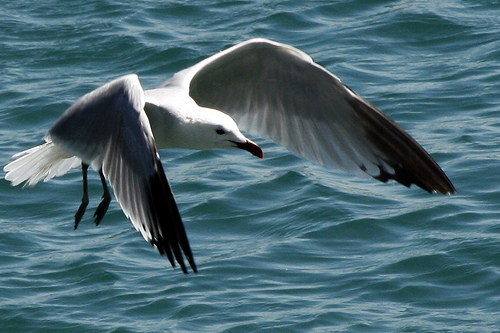 Pan para hoy y hambre para mañana