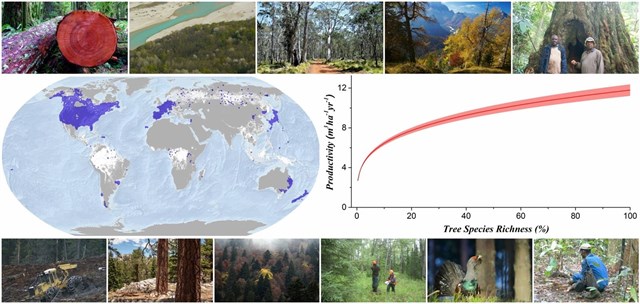 A menos biodiversidad en los bosques