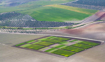 Malagón: un cuarto de siglo al servicio de la experimentación agrícola