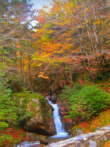 La Fundación Biodiversidad apoya la realización del Seminario “Por qué perdemos biodiversidad”