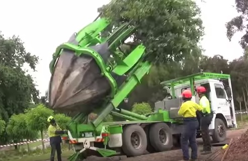 Conoce la máquina que trasplanta árboles sin dañarlos
