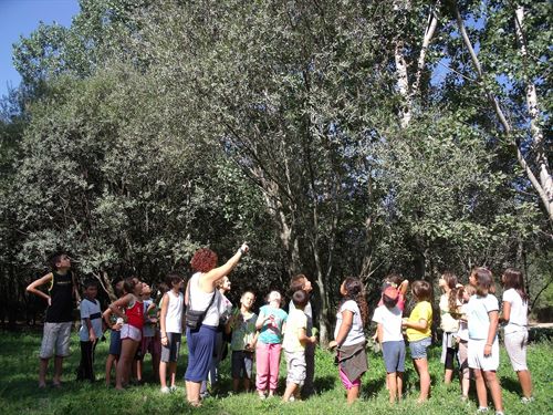 Natura 2000 organiza "rutas verdes" para conocer las especies forestales
