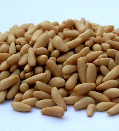 Andalucía trabaja en un decreto para impulsar el sector de la piña y dotarlo de mayor peso en la economía verde