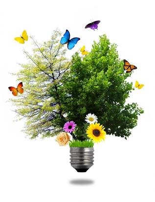 Aprovéchate de las facilidades para cursar este máster online en sostenibilidad y eficiencia energética