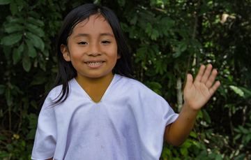 Buenas noticias para la conservación de la Selva Lacandona