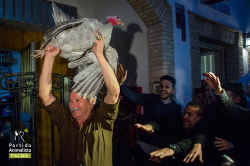 A vueltas con la pava de Cazalilla