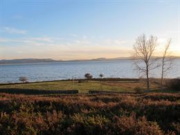 Plantan más de 4.000 árboles junto al Ebro