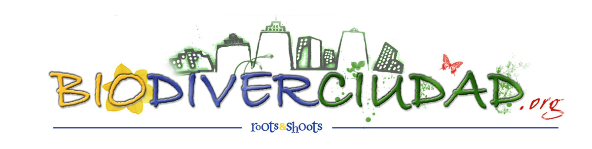 BIODIVERCIUDAD recibe el premio “ACCIÓ 21” 2010