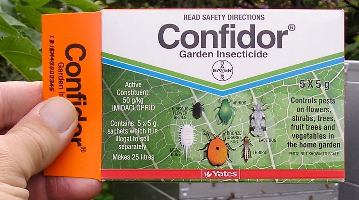 Los pesticidas neonicotinoides afectan a las aves