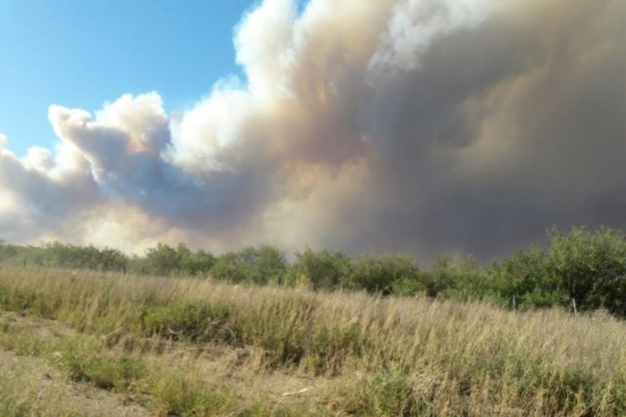 Argentina. Los incendios en el centro del país ya arrasaron 600 mil hectáreas