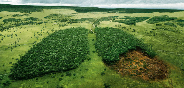 Los recursos de la Tierra para este año se agotan el 21 de agosto y empezaremos a vivir a cuenta