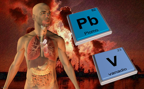 Localizan por primera vez compuestos de contaminación ambiental en hígado y corazón de roedores