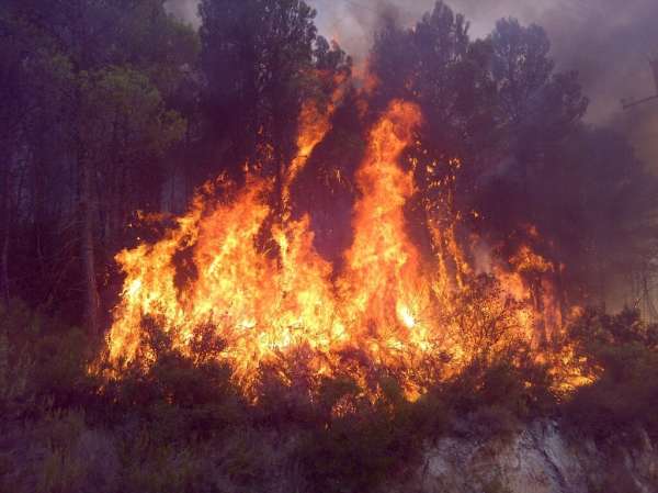 Más de 6.000 hectáreas han ardido en Galicia desde el viernes