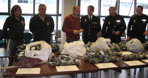 Desmanteladas casi 400 redes japonesas en Andalucía