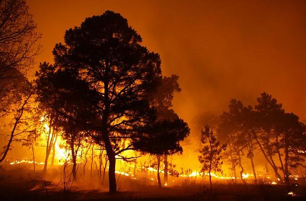 El abandono del medio rural gallego es una causa directa de la oleada de incendios