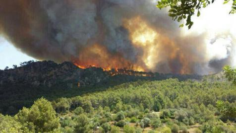 Incendio forestal de Andratx (Mallorca)