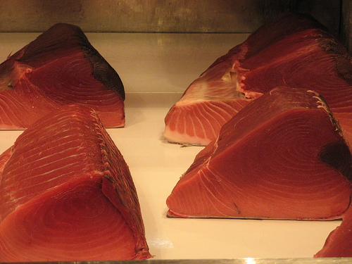 La Comisión Europea pide que se prohíba el comercio internacional de atún rojo