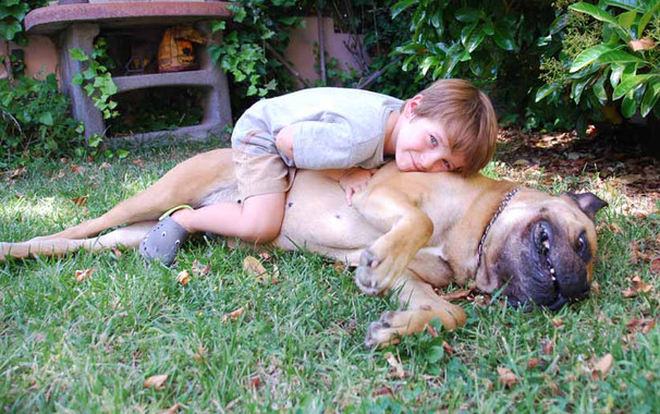 Los niños a veces no son los mejores amigos de los perros