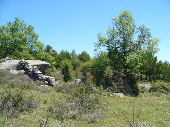 Extremadura subvencionará la ordenación de montes y el fomento de la regeneración