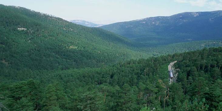 MAGRAMA convoca ayudas para formación de los profesionales del medio rural