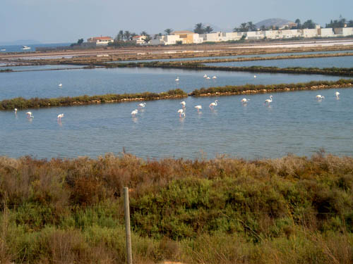 Proyecto en Murcia para garantizar el agua para las salinas de Marchamalo