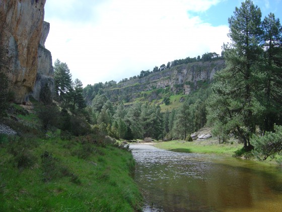 La Gestión de los Espacios Naturales Protegidos